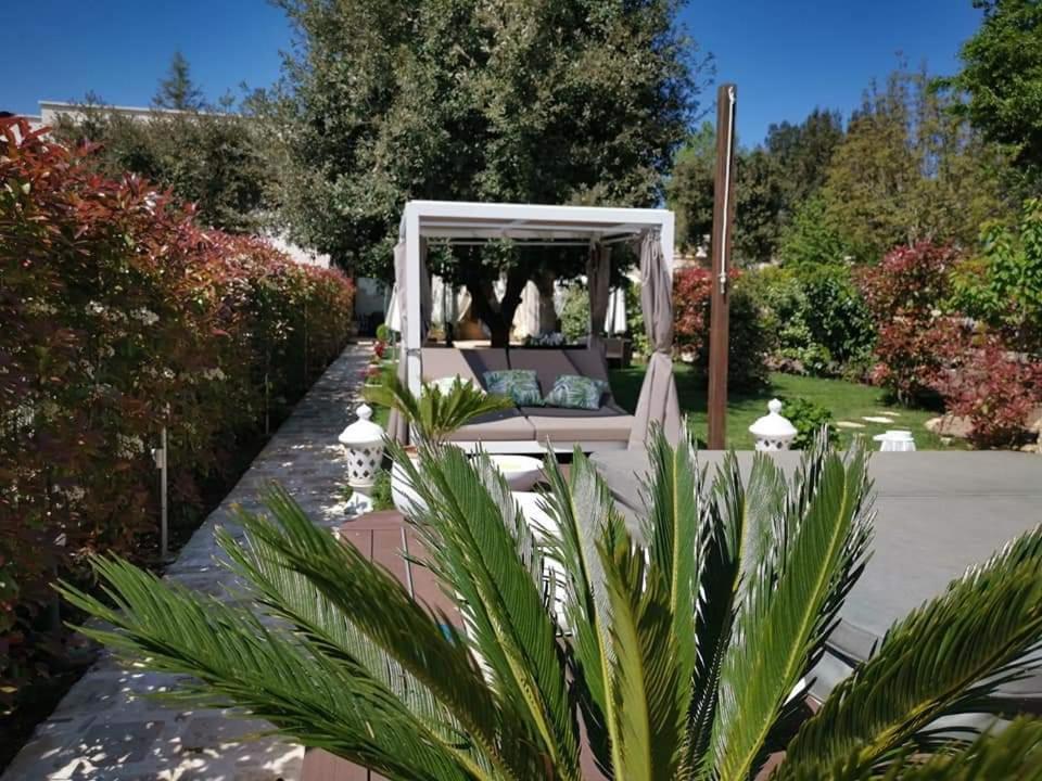 Apulia Dream B&B Le Lamie di Olimpe Ngoại thất bức ảnh